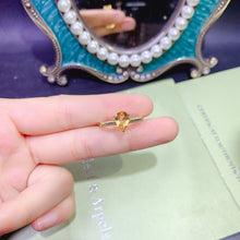 画像をギャラリービューアに読み込む, JCX - 0620 - 143409 - 1 - 貴婦人の宝箱