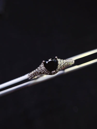 JCX - 0620 - 143434 - 5 - 1 - 貴婦人の宝箱