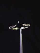 画像をギャラリービューアに読み込む, JCX - 0620 - 143447 - 5 - 1 - 貴婦人の宝箱