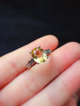 画像をギャラリービューアに読み込む, JCX - 0620 - 143542 - 10 - 1 - 貴婦人の宝箱