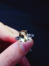 画像をギャラリービューアに読み込む, JCX - 0620 - 143542 - 10 - 1 - 貴婦人の宝箱