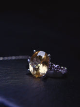 画像をギャラリービューアに読み込む, JCX - 0620 - 143542 - 10 - 1 - 貴婦人の宝箱