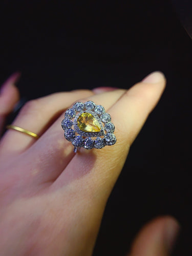 JCX - 0620 - 143634 - 9 - 1 - 貴婦人の宝箱