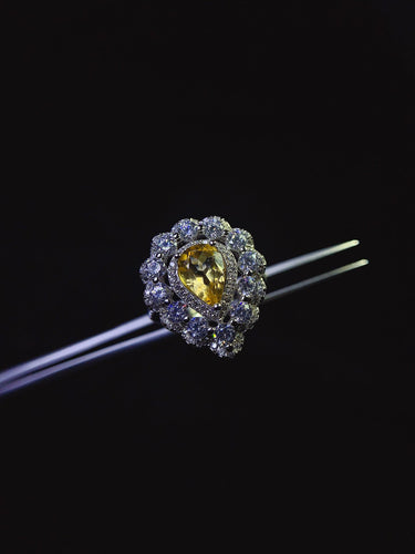 JCX - 0620 - 143634 - 9 - 1 - 貴婦人の宝箱