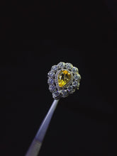 画像をギャラリービューアに読み込む, JCX - 0620 - 143634 - 9 - 1 - 貴婦人の宝箱