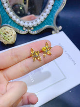 画像をギャラリービューアに読み込む, JCX - 0620 - 143719 - 5 - 1 - 貴婦人の宝箱