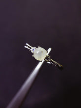 画像をギャラリービューアに読み込む, JCX - 0620 - 144141 - 5 - 1 - 貴婦人の宝箱