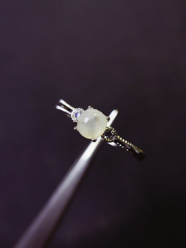 JCX - 0620 - 144141 - 5 - 1 - 貴婦人の宝箱