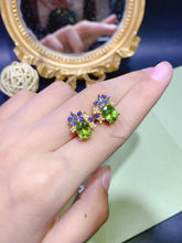 画像をギャラリービューアに読み込む, JCX - 0620 - 145446 - 8 - 1 - 貴婦人の宝箱