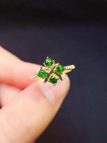 JCX - 0620 - 150632 - 3 - 1 - 貴婦人の宝箱