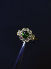 画像をギャラリービューアに読み込む, JCX - 0620 - 151127 - 5 - 1 - 貴婦人の宝箱