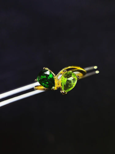 JCX - 0620 - 151234 - 7 - 1 - 貴婦人の宝箱