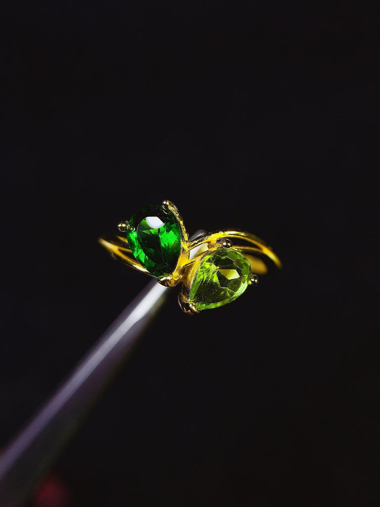 JCX - 0620 - 151234 - 7 - 1 - 貴婦人の宝箱