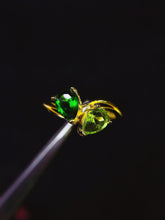 画像をギャラリービューアに読み込む, JCX - 0620 - 151234 - 7 - 1 - 貴婦人の宝箱