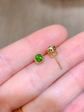 画像をギャラリービューアに読み込む, JCX - 0620 - 151320 - 4 - 1 - 貴婦人の宝箱