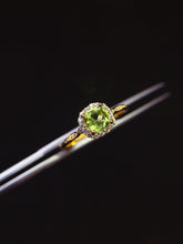 Load image into Gallery viewer, JCX - 0620 - 151643 - 6 - 1 - 貴婦人の宝箱