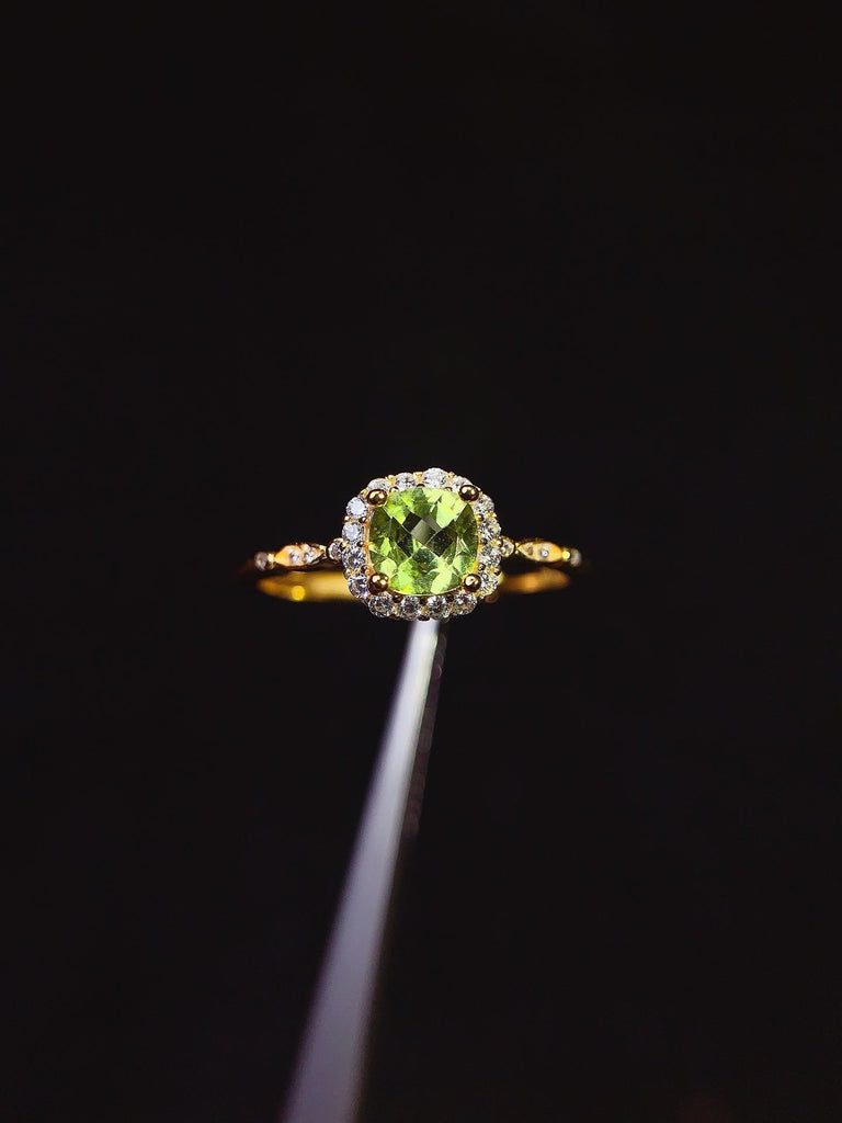 JCX - 0620 - 151643 - 6 - 1 - 貴婦人の宝箱