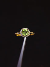 Load image into Gallery viewer, JCX - 0620 - 151643 - 6 - 1 - 貴婦人の宝箱