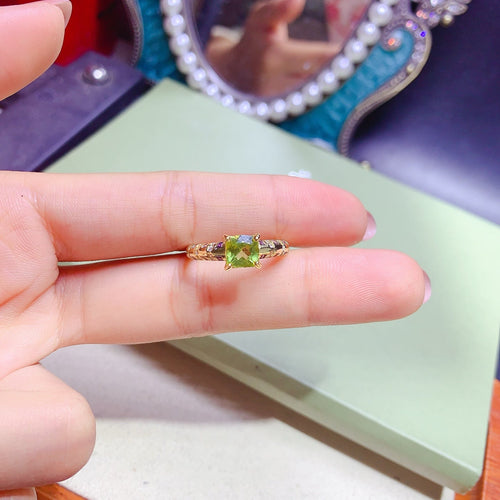 JCX - 0620 - 151655 - 1 - 貴婦人の宝箱