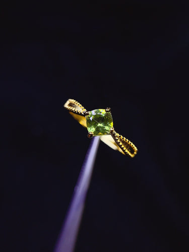 JCX - 0620 - 151702 - 5 - 1 - 貴婦人の宝箱