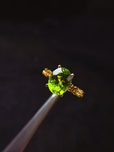 画像をギャラリービューアに読み込む, JCX - 0620 - 151710 - 10 - 1 - 貴婦人の宝箱