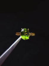 画像をギャラリービューアに読み込む, JCX - 0620 - 151710 - 10 - 1 - 貴婦人の宝箱