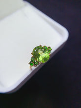 画像をギャラリービューアに読み込む, JCX - 0620 - 151717 - 10 - 1 - 貴婦人の宝箱