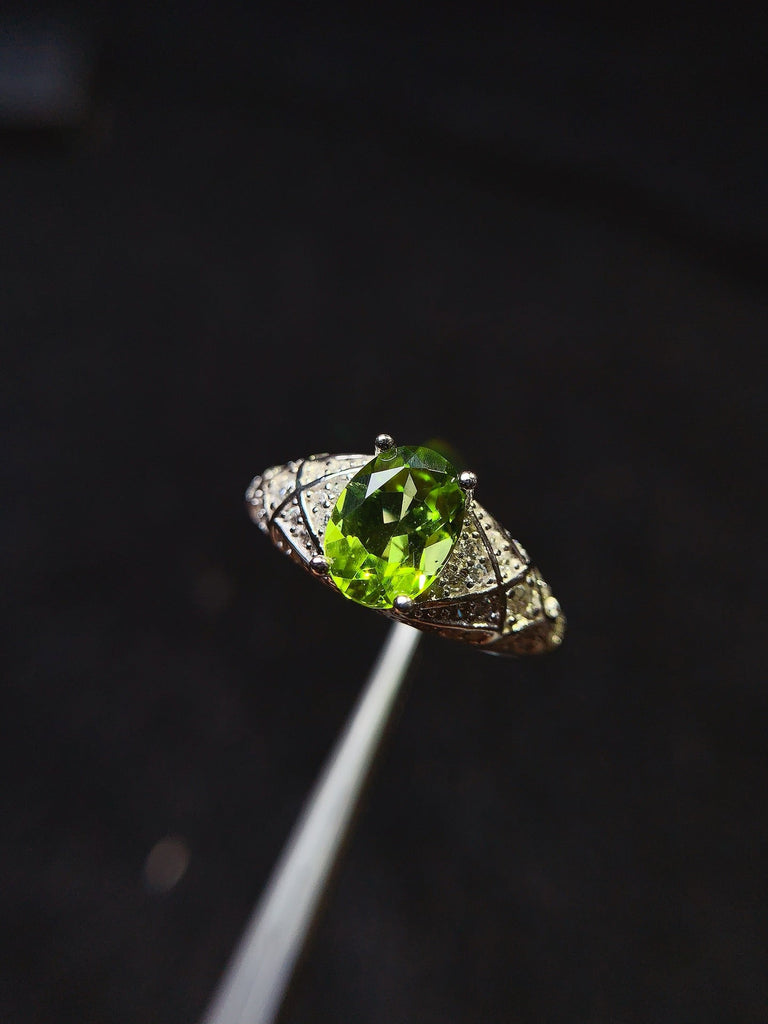 JCX - 0620 - 151725 - 9 - 1 - 貴婦人の宝箱