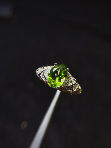 JCX - 0620 - 151725 - 9 - 1 - 貴婦人の宝箱