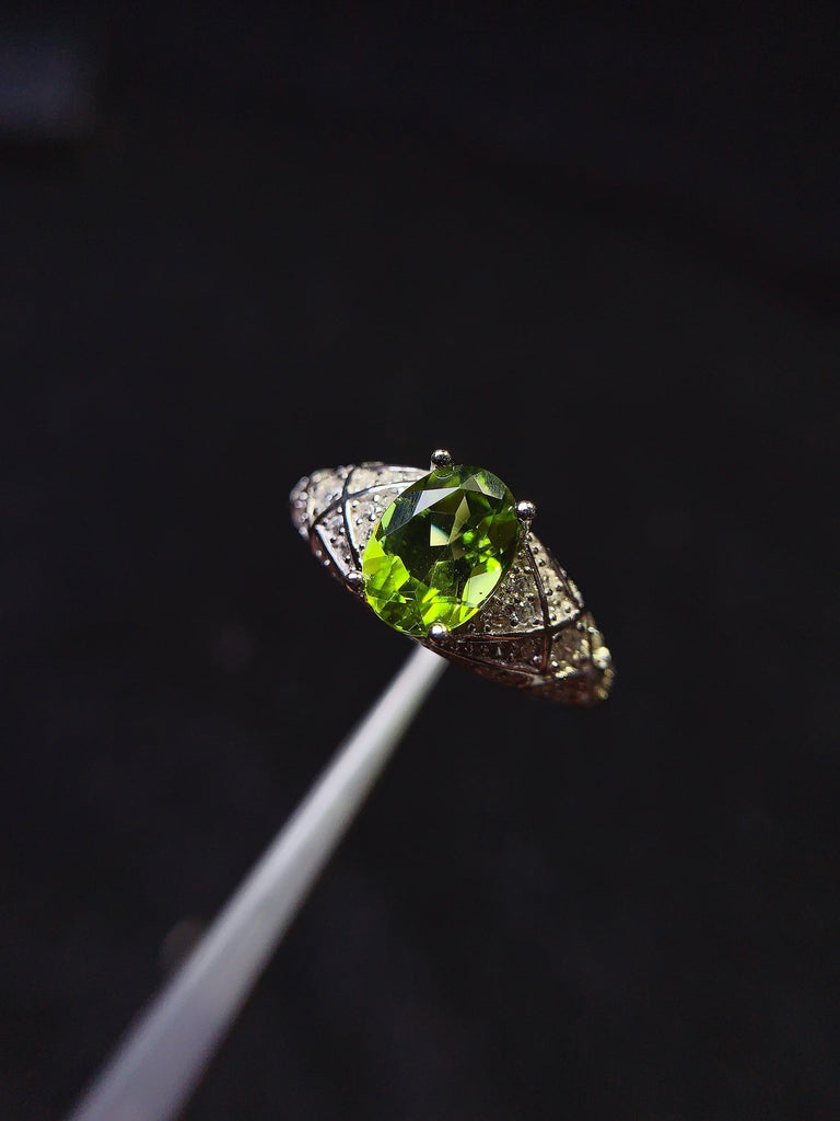 JCX - 0620 - 151725 - 9 - 1 - 貴婦人の宝箱