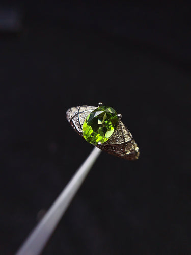 JCX - 0620 - 151725 - 9 - 1 - 貴婦人の宝箱