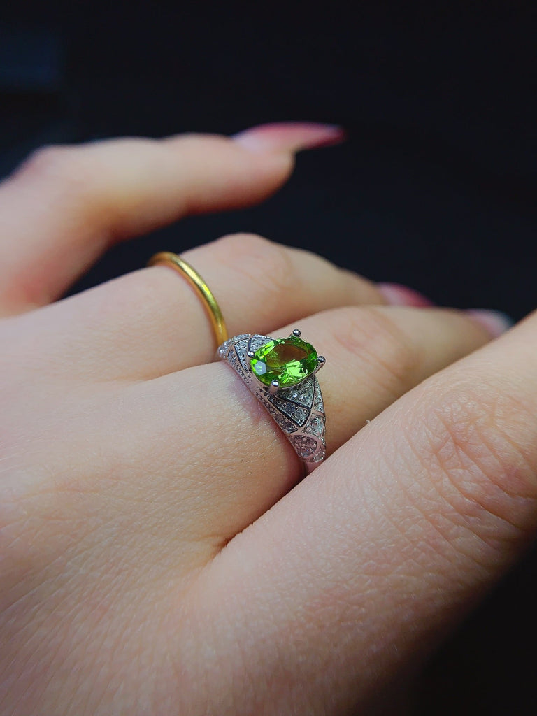 JCX - 0620 - 151725 - 9 - 1 - 貴婦人の宝箱