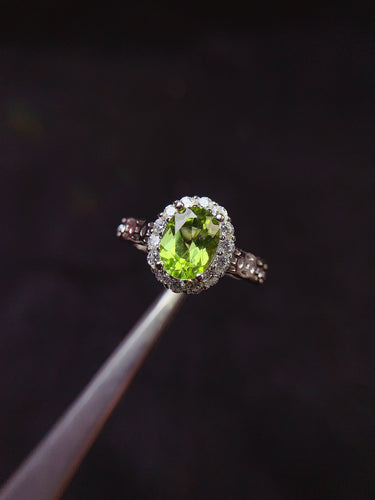 JCX - 0620 - 151745 - 8 - 1 - 貴婦人の宝箱