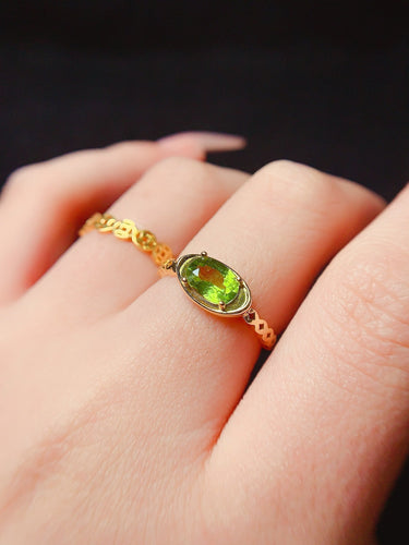 JCX - 0620 - 151843 - 7 - 1 - 貴婦人の宝箱