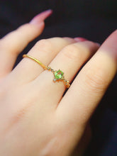 画像をギャラリービューアに読み込む, JCX - 0620 - 151905 - 5 - 1 - 貴婦人の宝箱