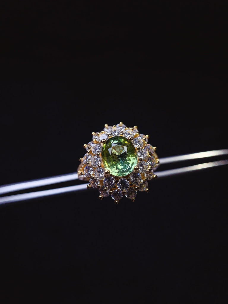 JCX - 0620 - 152508 - 1 - 貴婦人の宝箱