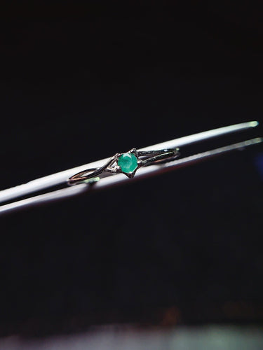 JCX - 0620 - 155759 - 3 - 1 - 貴婦人の宝箱