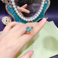 Charger l&#39;image dans la galerie, JCX - 0620 - 160006 - 8 - 1 - 貴婦人の宝箱