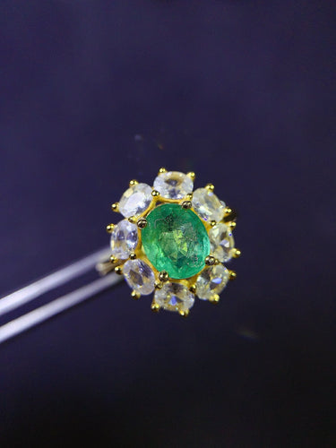 JCX - 0620 - 160117 - 8 - 1 - 貴婦人の宝箱