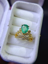 画像をギャラリービューアに読み込む, JCX - 0620 - 160146 - 8 - 1 - 貴婦人の宝箱