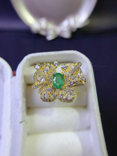 JCX - 0620 - 160311 - 6 - 1 - 貴婦人の宝箱