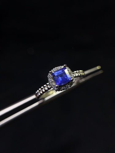 JCX - 0620 - 161059 - 5 - 1 - 貴婦人の宝箱