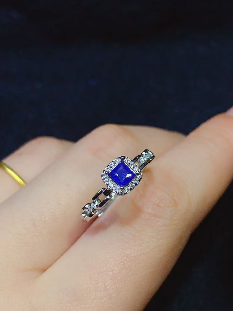 JCX - 0620 - 161113 - 4 - 1 - 貴婦人の宝箱