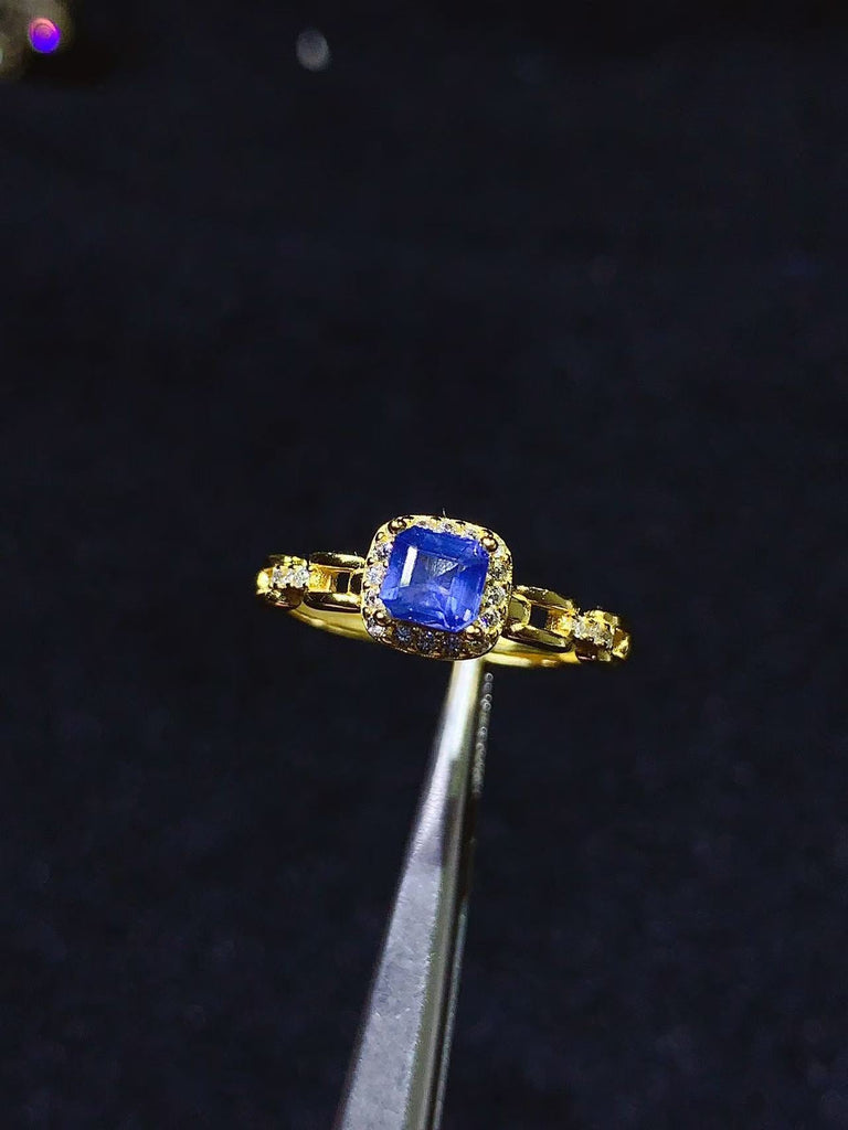 JCX - 0620 - 161134 - 4 - 1 - 貴婦人の宝箱