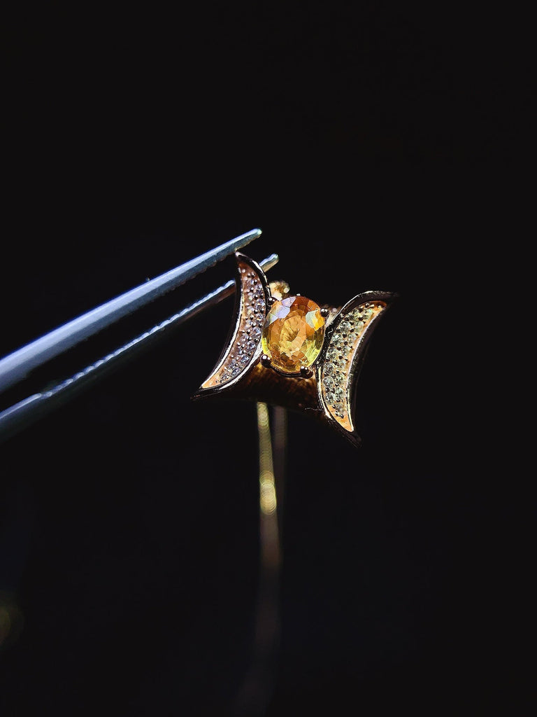 JCX - 0620 - 161234 - 5 - 1 - 貴婦人の宝箱