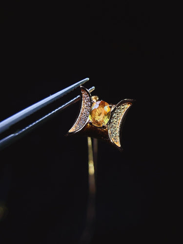 JCX - 0620 - 161234 - 5 - 1 - 貴婦人の宝箱