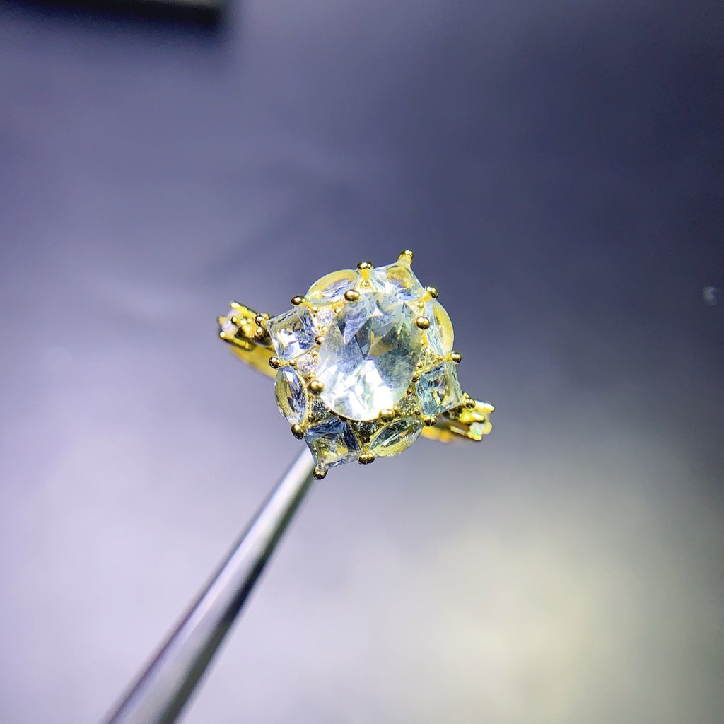 JCX - 0620 - 162201 - 1 - 貴婦人の宝箱