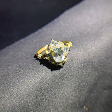 Load image into Gallery viewer, JCX - 0620 - 162201 - 1 - 貴婦人の宝箱