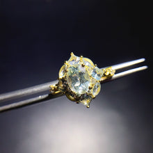 Load image into Gallery viewer, JCX - 0620 - 162201 - 1 - 貴婦人の宝箱