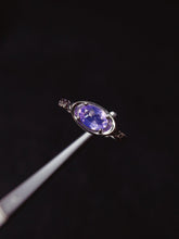 画像をギャラリービューアに読み込む, JCX - 0620 - 162358 - 7 - 1 - 貴婦人の宝箱